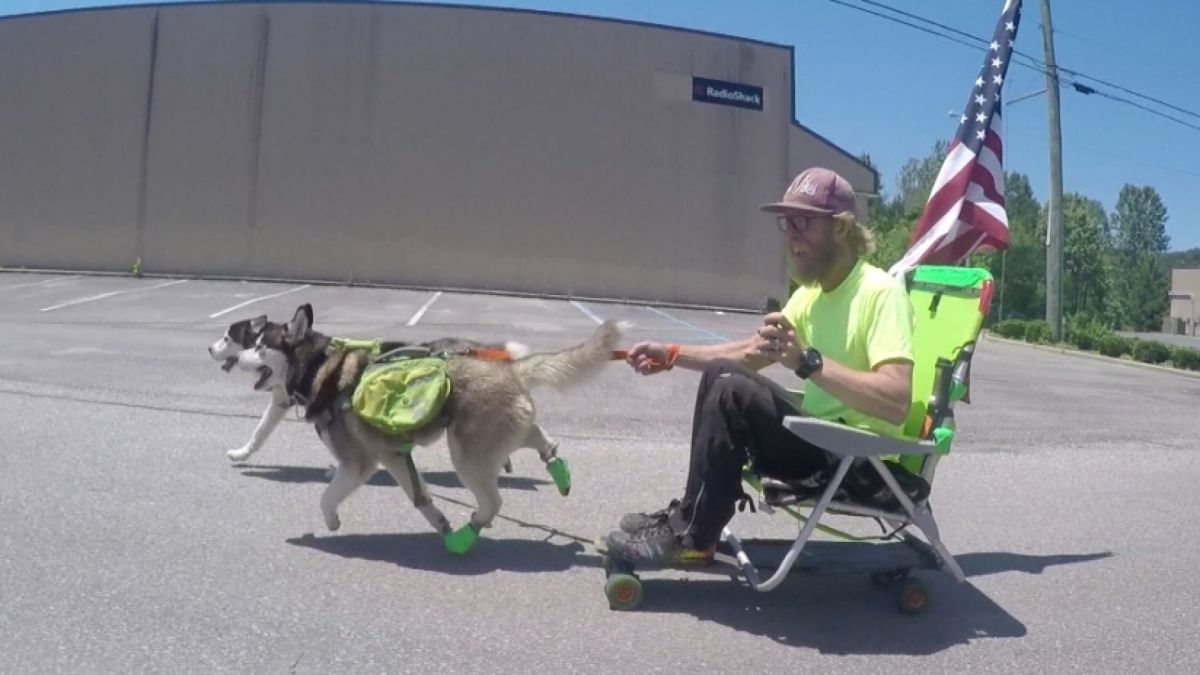 urban-dog-sled-turns-heads-nbc-los-angeles