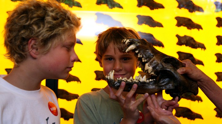 NaturalHistoryMuseumBoys