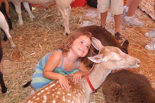 OCFairGirlPettingZoo