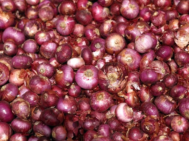 Onions_98320156