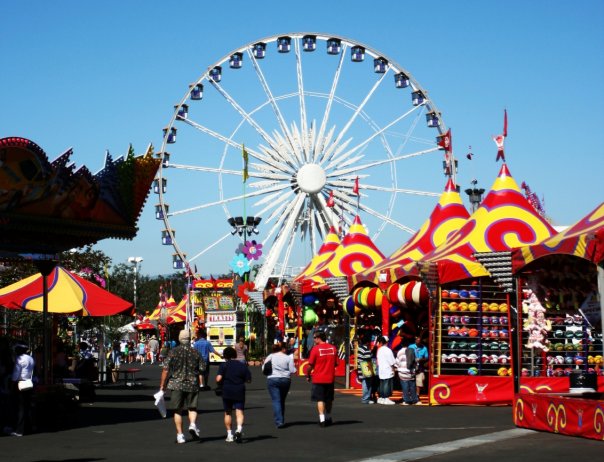 Court Halts OC Fairgrounds Sale – NBC Los Angeles