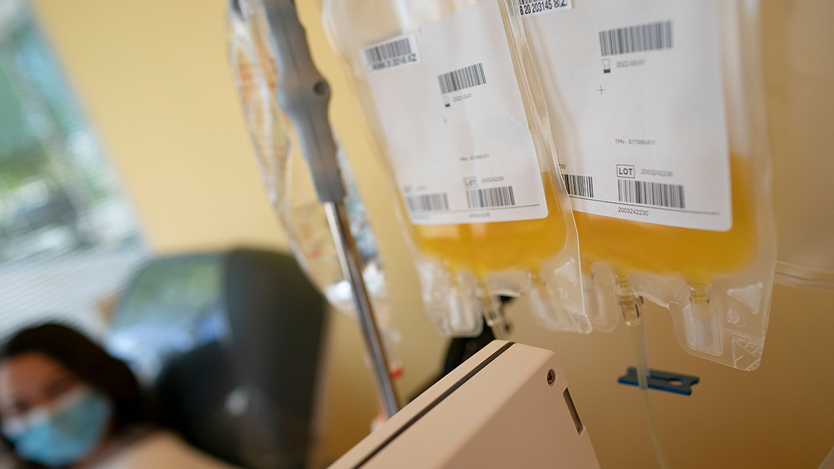 What Is Plasma? How to Donate Convalescent Plasma for