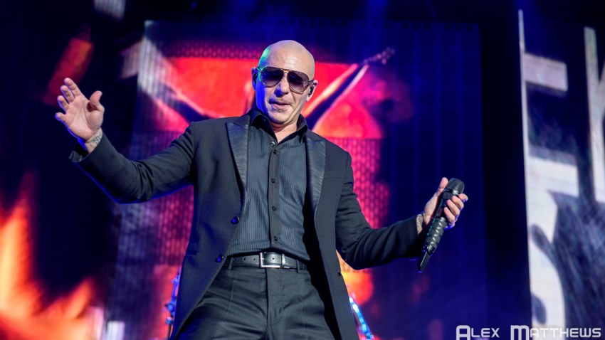 Pitbull Alex Matthews Web Cropped