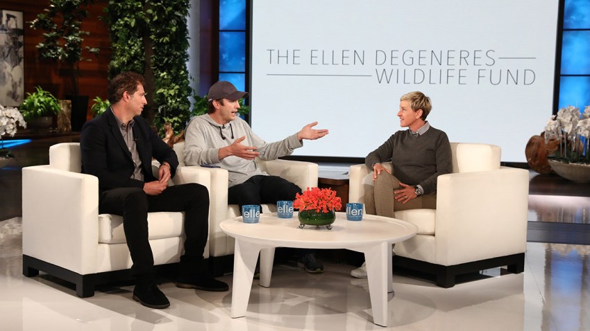 The Ellen DeGeneres Show