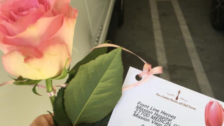 a pink rose and a card