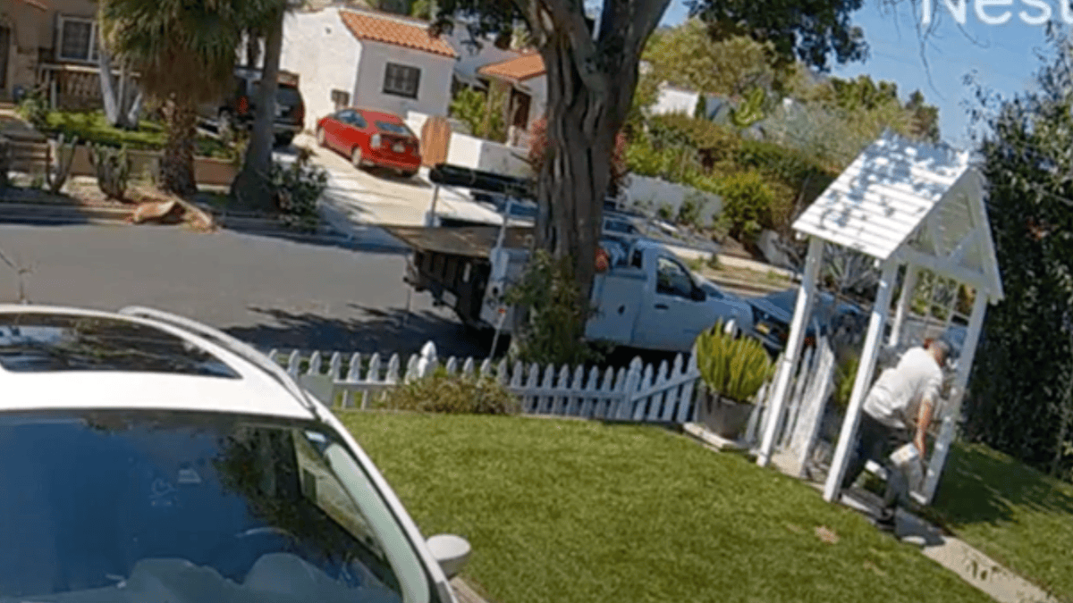 Police Search for Man Caught on Camera Stealing Multiple Packages in ...
