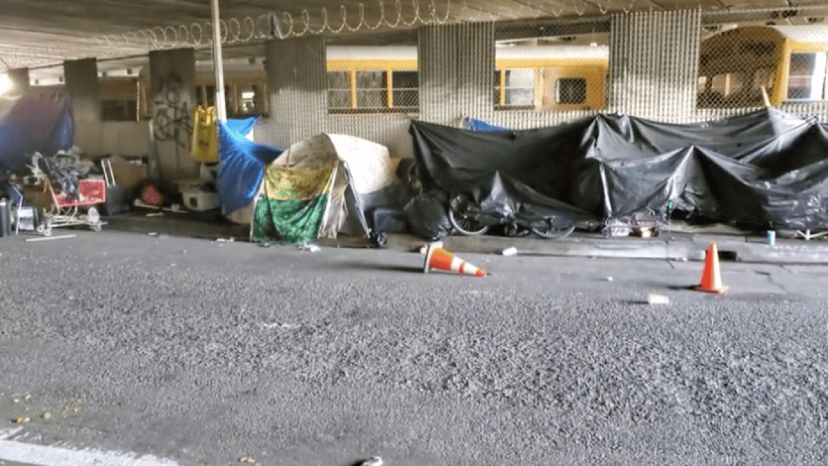 City, County Propose LA Homeless Solutions as Coronavirus Spreads – NBC ...