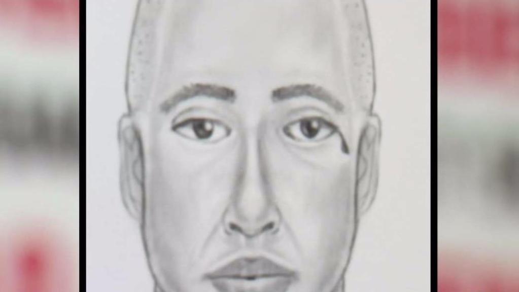 Https Www Nbclosangeles Com News National International Mount Prospect Police Case 17 10163 Chicago 2125479 Https Media Nbclosangeles Com 2019 09 Wmaq 000000024858409 1200x675 1013644355531 Jpg Fit 1024 2c576 Mount