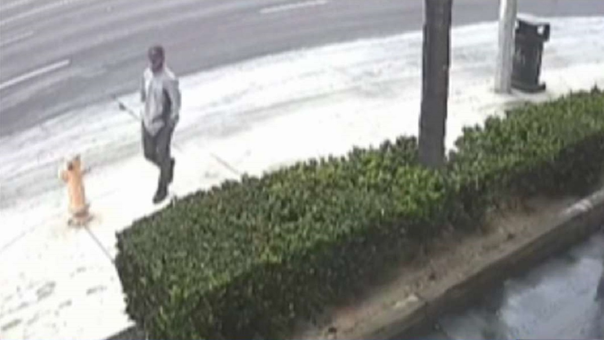 Man Body Slams Sexually Assaults Woman In Long Beach Alley Nbc Los Angeles
