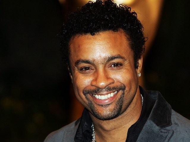 Shaggy_77676607