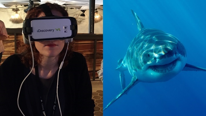 SharkWeekvrpaley