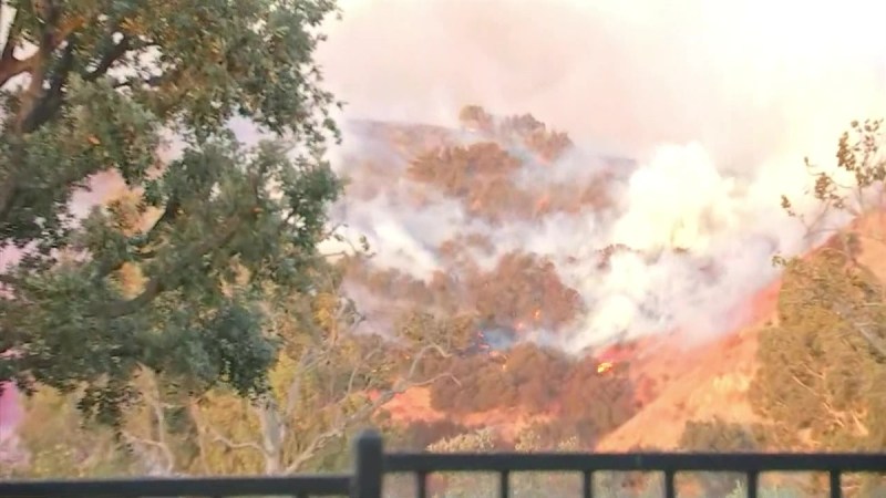 Volunteers Band Together To Safely Evacuate Panicked Horses Near