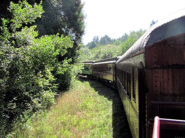 SkunkTrain_947116412408
