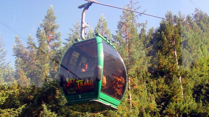 SkyTrailTreesofMystery