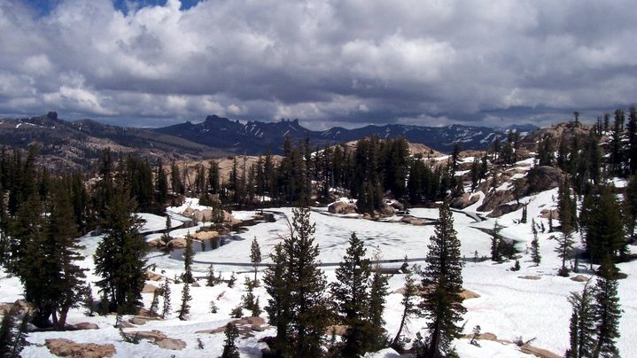 StanislausForest