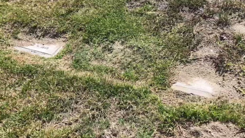 Statement-memorial-park-2-6-19