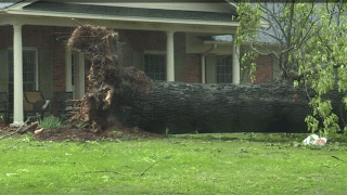 A round of storms left widespread damage in Chilton County, Alabama, on Sunday, April 19, 2020. Another round of storms is expected to sweep across the area overnight.