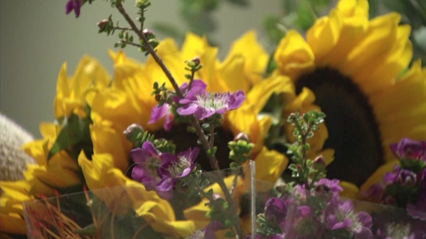 bouquet of flowers