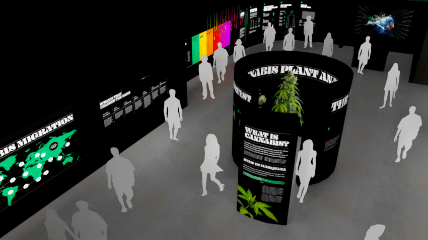 Weedmaps003