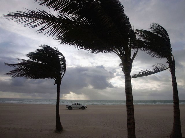 Windy-Trees-Blowing