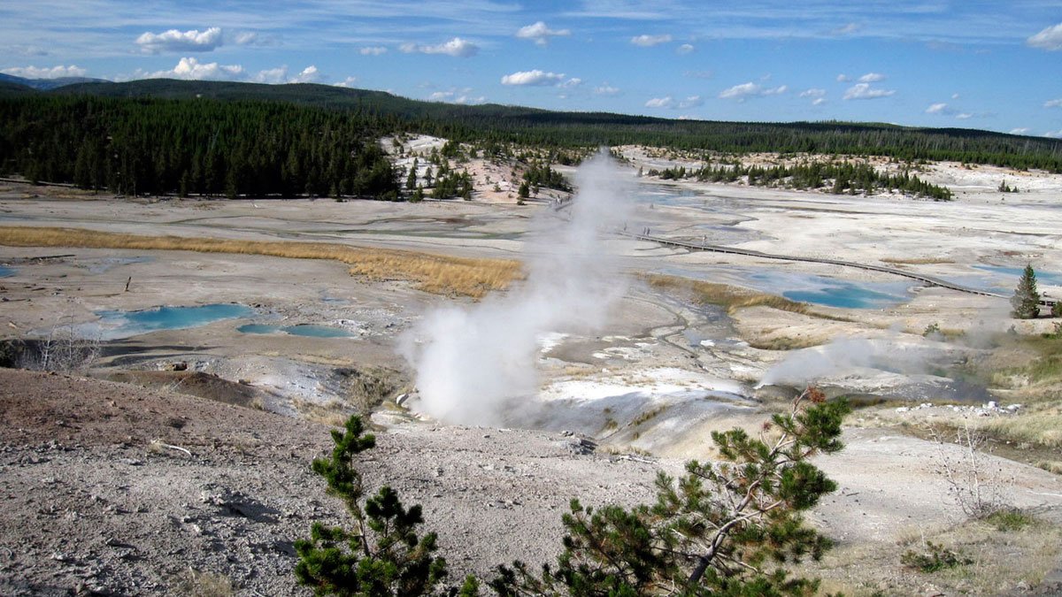 Yellowstone: Woman in Critical Condition After Trying to Save Dog From Hot Spring – NBC Los Angeles - Vimarsana News