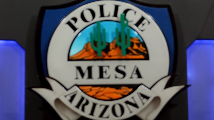Arizona Police Use of Force
