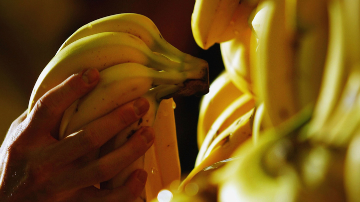 bananasFarthers