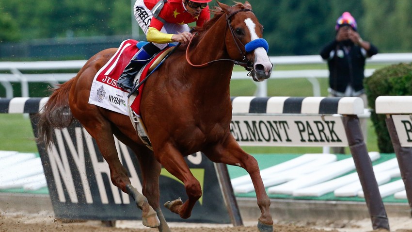 Belmont Stakes Horse Racing
