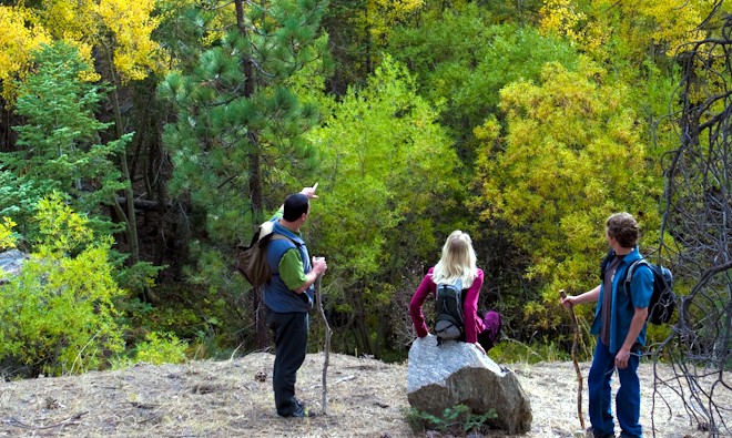 bigbearautumnthree