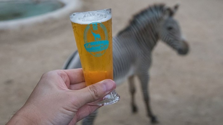 brewzoo299283232