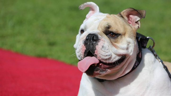 Best of Justin rudd sex swinger Best porno 2020 Nude latin fat girls