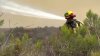 Arson suspect in custody after Sherman Oaks grass fires