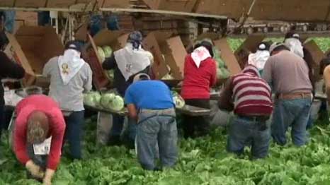 Ventura County Opens More Covid 19 Testing Centers To Reach Farm Workers Nbc Los Angeles