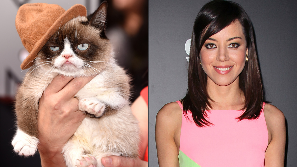Aubrey Plaza To Voice Grumpy Cat In Lifetime Tv Movie Nbc Los Angeles