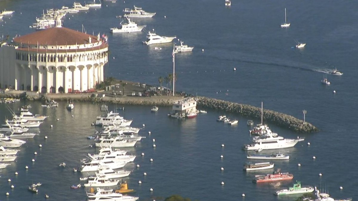 Catalina Island Kayaker Reports Shark Bite NBC Los Angeles