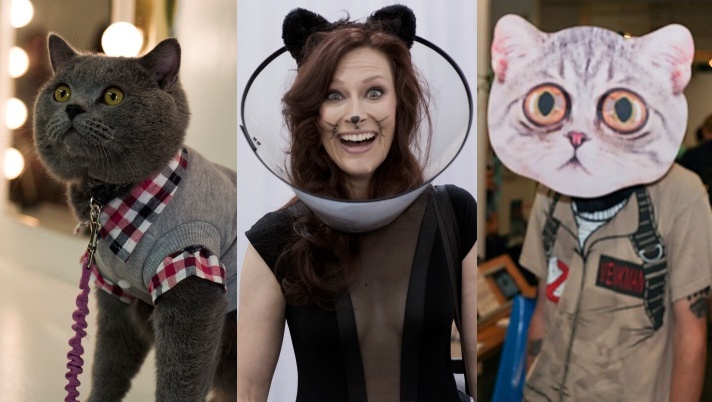 catcon2019