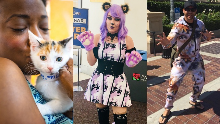 catcon2029292