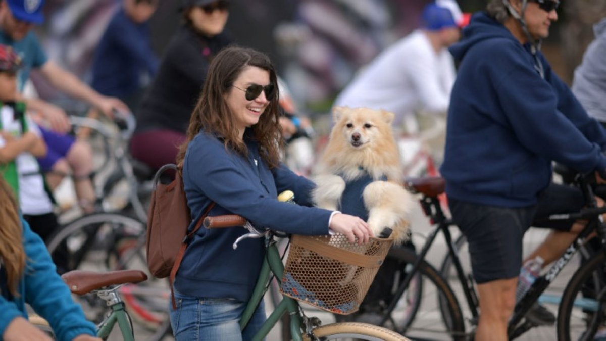 CicLAvia to Close Several Streets in Downtown Los Angeles - Vimarsana News