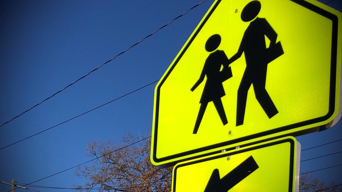 LA City Council Looks to Hire More Crossing Guards - Vimarsana News