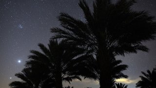 File photo of palm trees in Riverside County