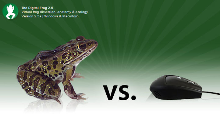 Dissecting Frogs a Thing of the Past Thanks to Digital – NBC Los Angeles