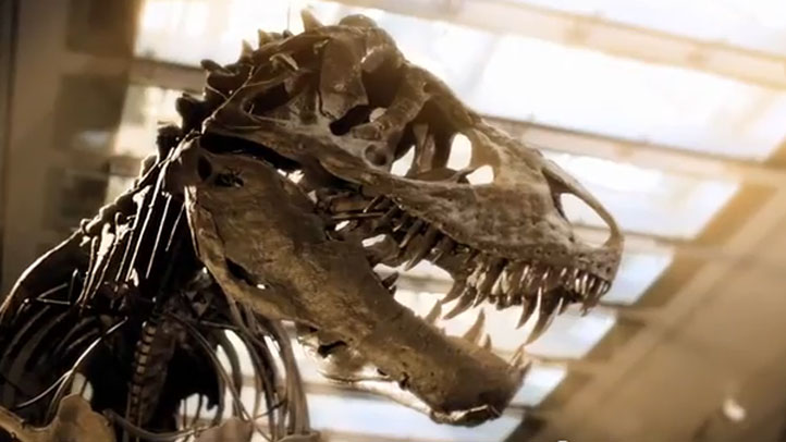 dinosaur2