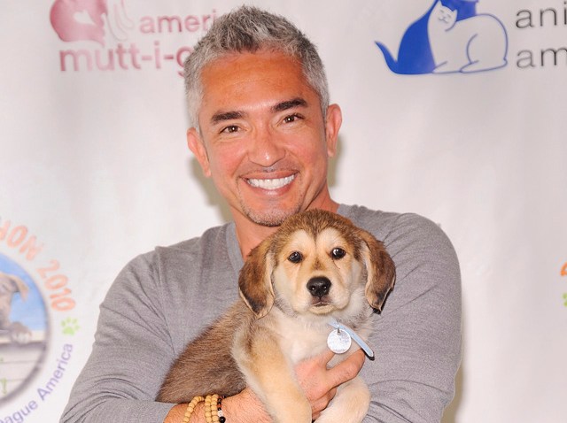 Cesar Millan Reveals Suicide Attempt Following Dog's Death ...