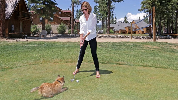 doggolf9293929322