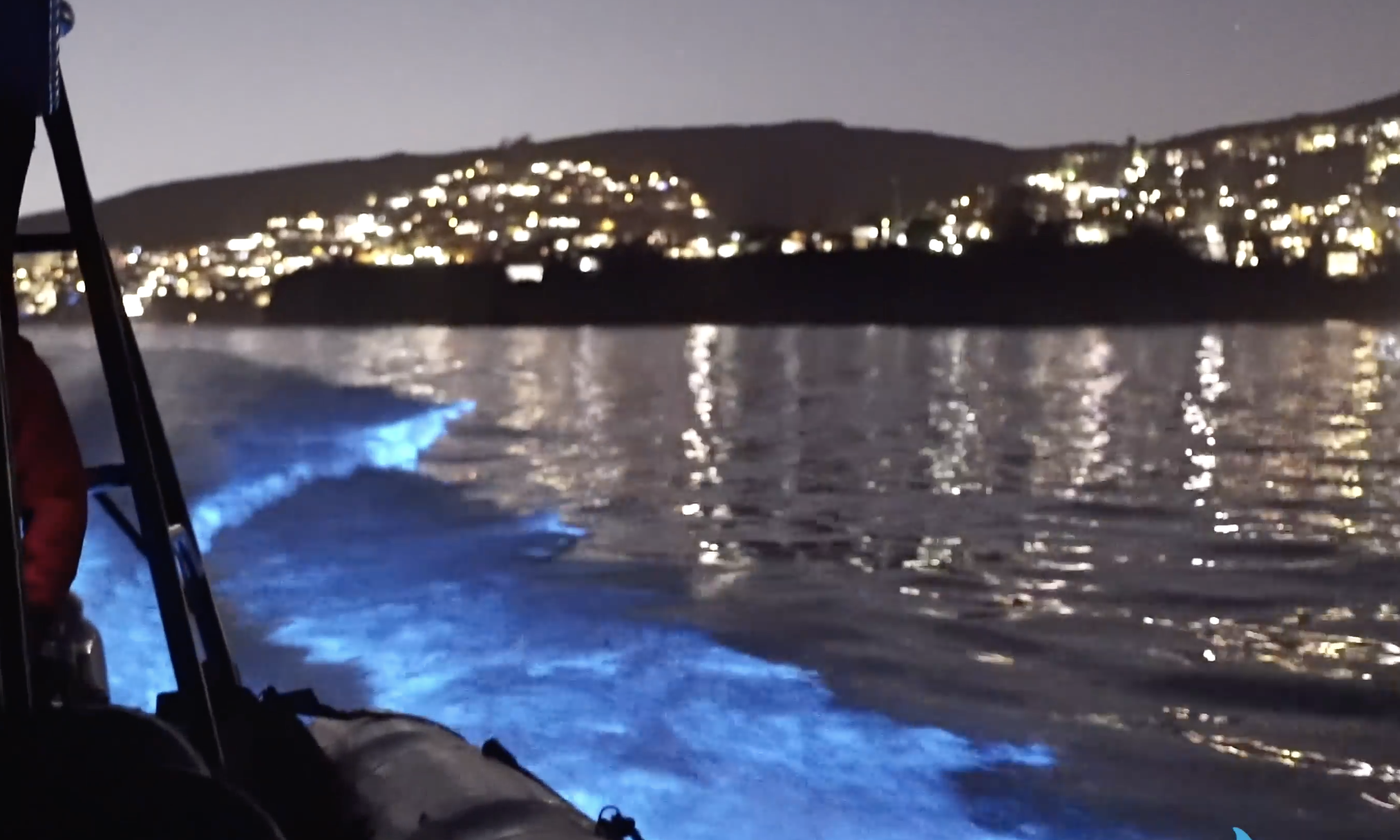 Photos See EyeCatching Electric Blue Waves on the Southern California