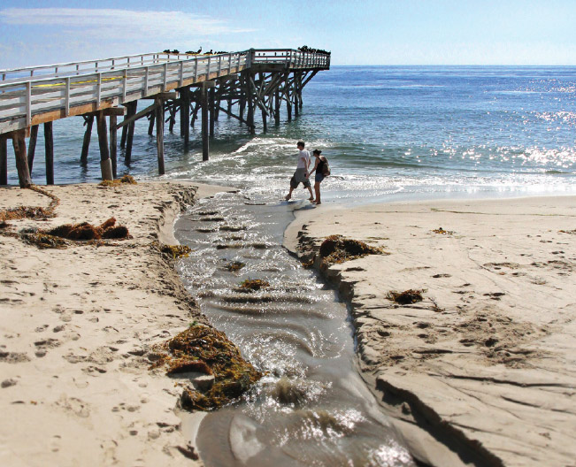 Contaminated Beaches In California 2025