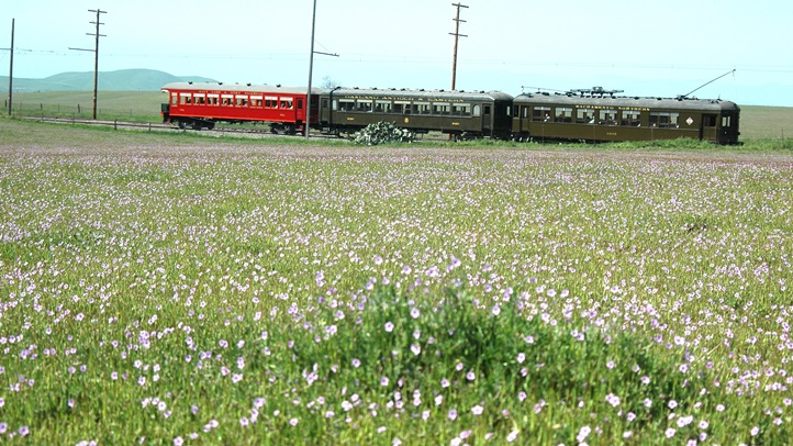 fairfieldwrnwildflowertrain