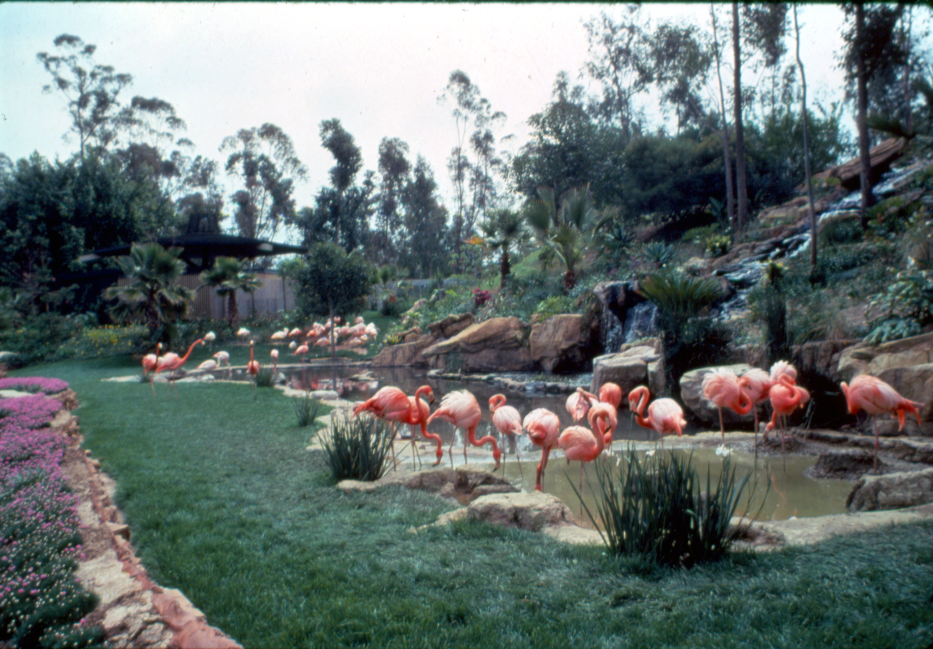 Vintage La History Of La Zoo In Photos Nbc Los Angeles