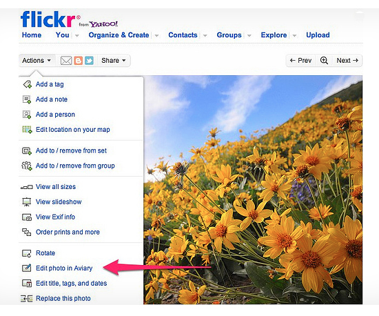 flickr1