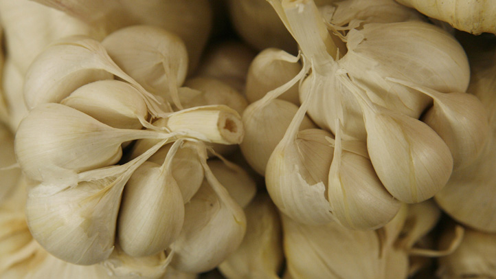 garlic cloves